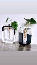 Load image into Gallery viewer, Two-Toned Propagation Vase