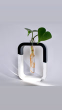 Load image into Gallery viewer, Two-Toned Propagation Vase