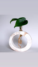 Load image into Gallery viewer, Oval Propagation Vase