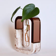 Load image into Gallery viewer, Two-Toned Propagation Vase