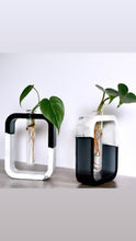 Load image into Gallery viewer, Two-Toned Propagation Vase
