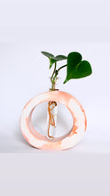 Load image into Gallery viewer, Oval Propagation Vase