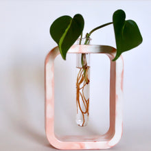 Load image into Gallery viewer, Marbled Propagation Vase