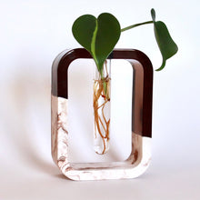 Load image into Gallery viewer, Two-Toned Propagation Vase