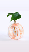 Load image into Gallery viewer, Oval Propagation Vase