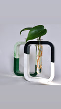 Load image into Gallery viewer, Two-Toned Propagation Vase
